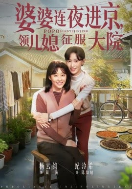 婆婆连夜进京，领儿媳征服大院(全集)