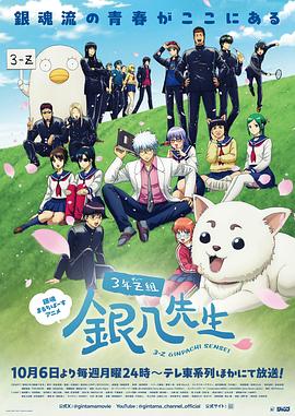 3年Z组银八老师 第2集