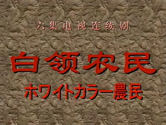 白领农民 第03集